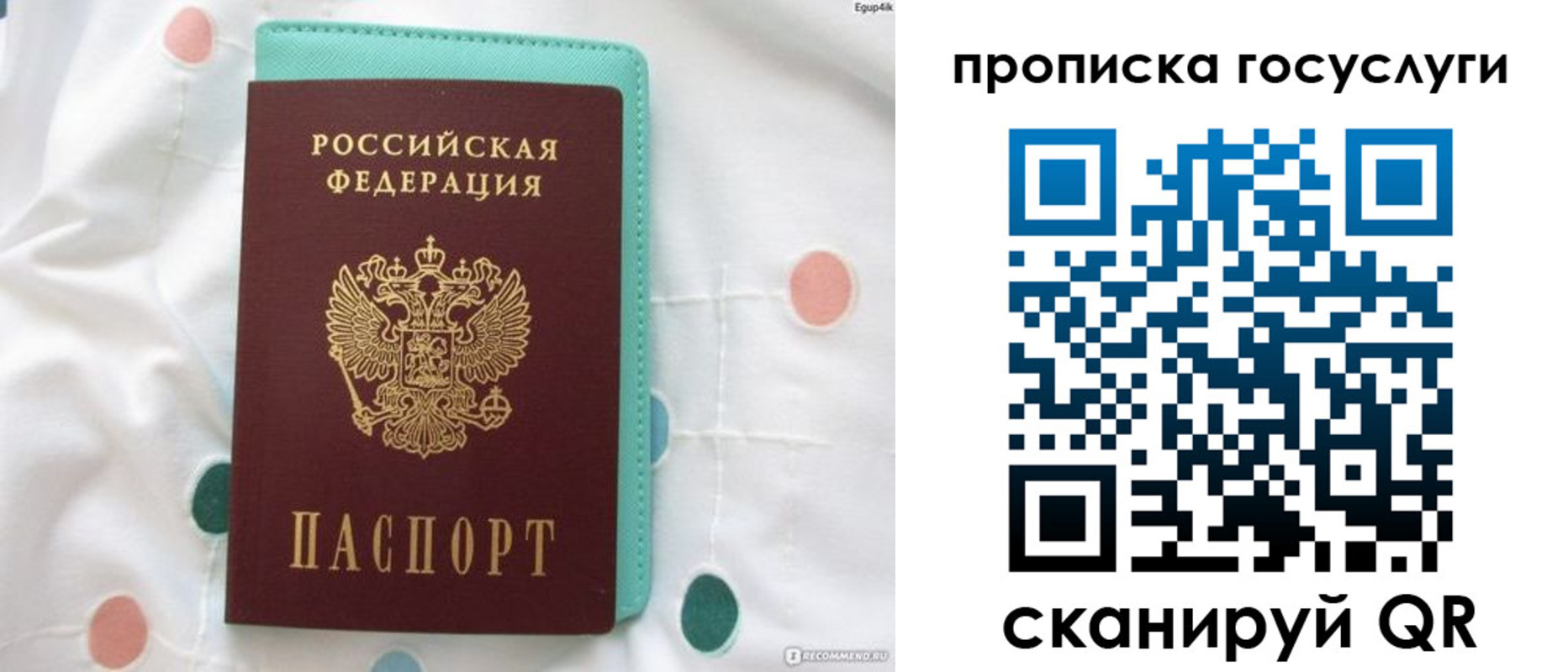 прописка поиск в Красном Куте